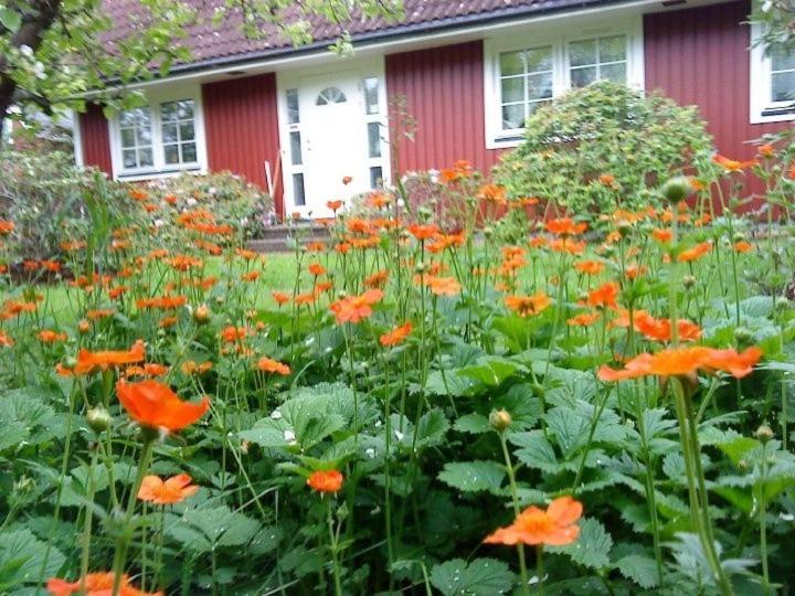 Jen'S B&B Ljungbyhed Extérieur photo